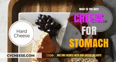 Cheese that's Good for Your Gut