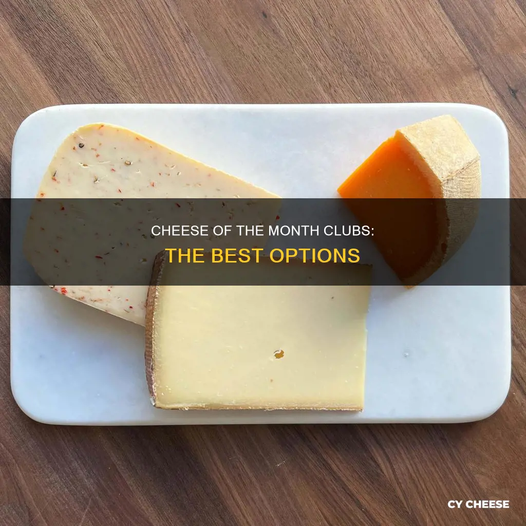 what is the best cheese of the month club