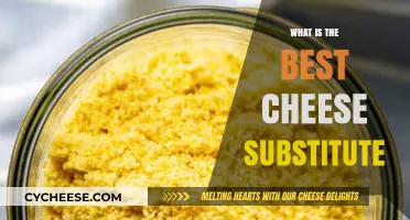 Vegan Cheese: The Best Dairy-Free Substitutes
