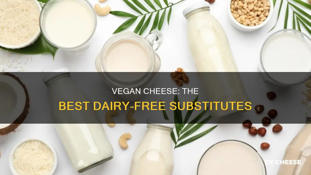 what is the best cheese substitute