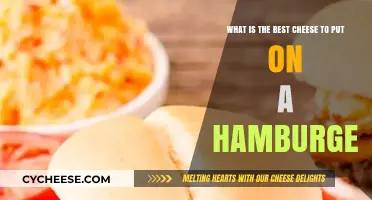 Cheese for Hamburgers: Finding the Perfect Match