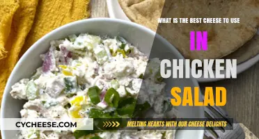Cheese Chicken Salad: Which Cheese Melts Hearts?