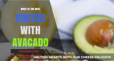 Avocado's Best Cheese Companion: A Perfect Pairing