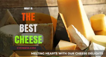 Cheese Connoisseur's Guide to the Best Cheeses