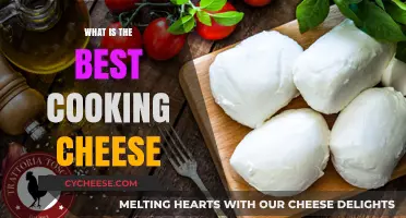 Cheese Melting Magic: The Ultimate Guide to Cooking Cheeses
