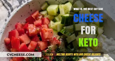 Top Keto-Friendly Cottage Cheese Picks for Low-Carb Diets