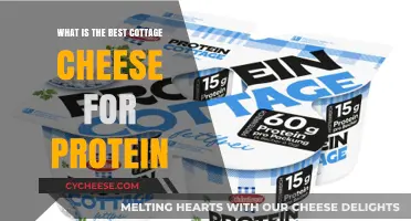 Top High-Protein Cottage Cheese Brands for Muscle Building and Health