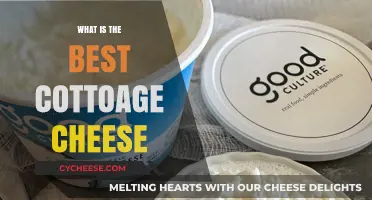Best Cottage Cheese: A Comprehensive Guide