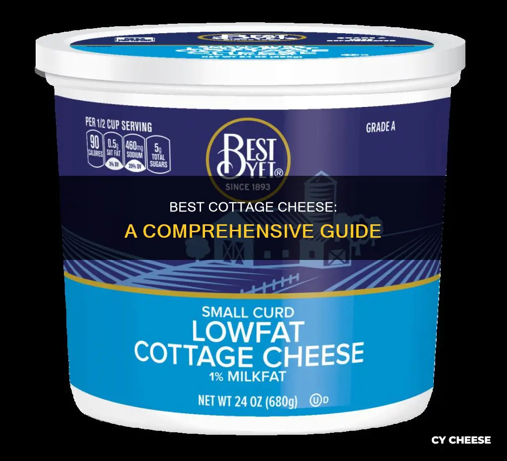 what is the best cottoage cheese