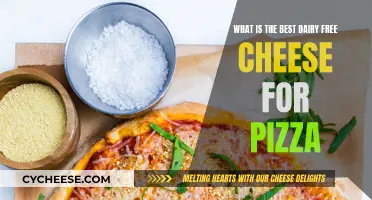 Dairy-Free Pizza Delight: Unveiling the Ultimate Cheese Alternative