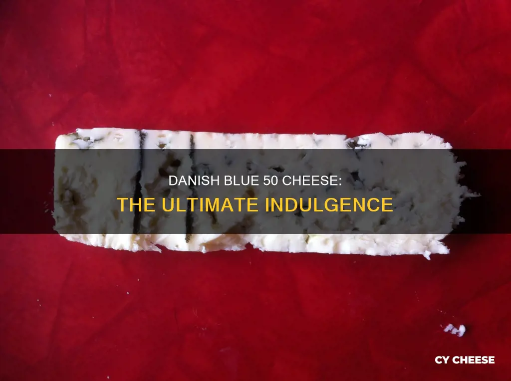 what is the best danish blue 50 cheese