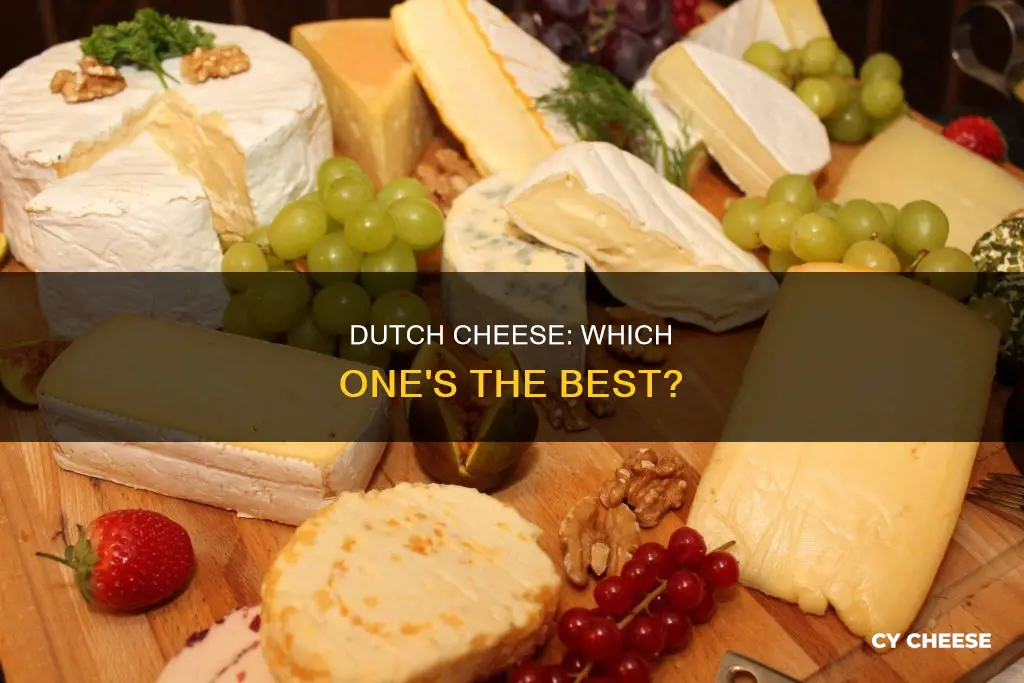 what is the best dutch cheese