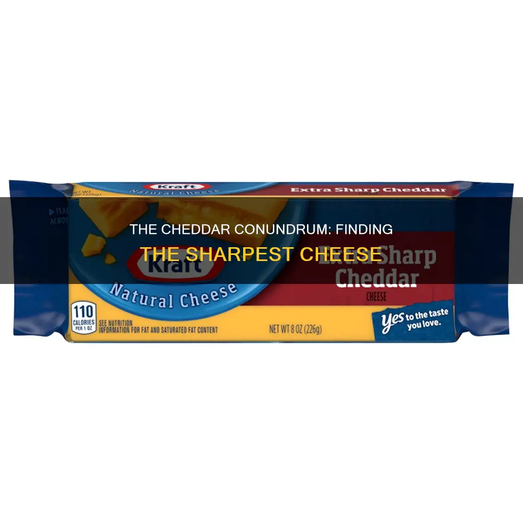 what is the best extra sharp cheddar cheese