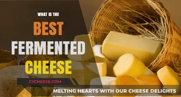 Best Fermented Cheeses: A Tasty, Healthy Choice