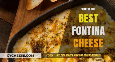 Fontina Cheese: The Best Varieties and How to Use Them