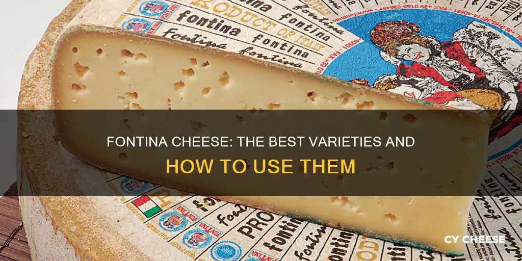 what is the best fontina cheese