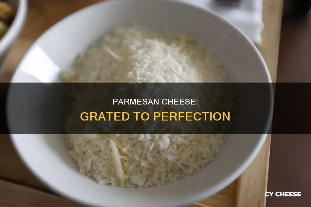 what is the best grated parmesan cheese