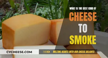 Smoking Cheese: The Best Types to Try