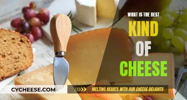 Cheese Connoisseur's Guide: Finding the Perfect Cheese