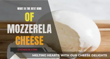 Mozzarella Mastery: Finding the Perfect Cheese