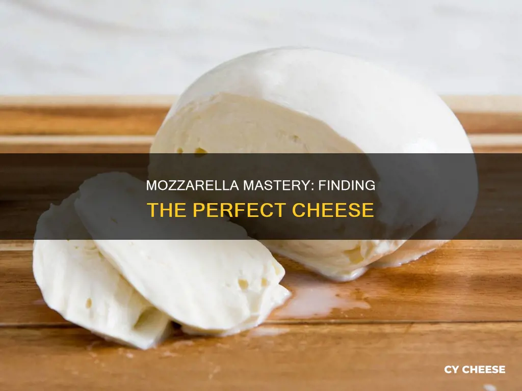 what is the best kind of mozzerela cheese