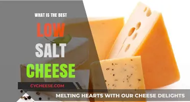 Healthy, Tasty, Low-Salt Cheeses for Your Diet