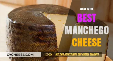 Manchego Cheese: The Ultimate Guide to Finding the Best
