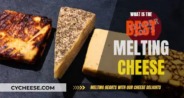 The Ultimate Melting Cheeses for Your Next Dish