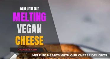 Vegan Cheese: Melting the Best Option
