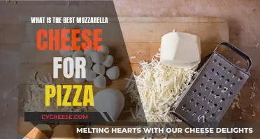 The Ultimate Mozzarella Guide: Perfect Pizza Cheese