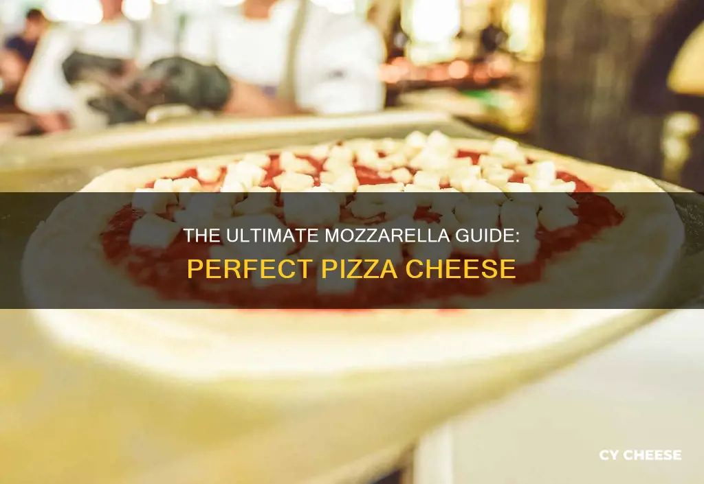 what is the best mozzarella cheese for pizza