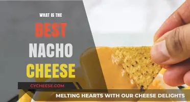 Ultimate Nacho Cheese: The Best Melting Cheeses