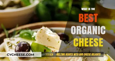 The Best Organic Cheeses: A Tasty Guide