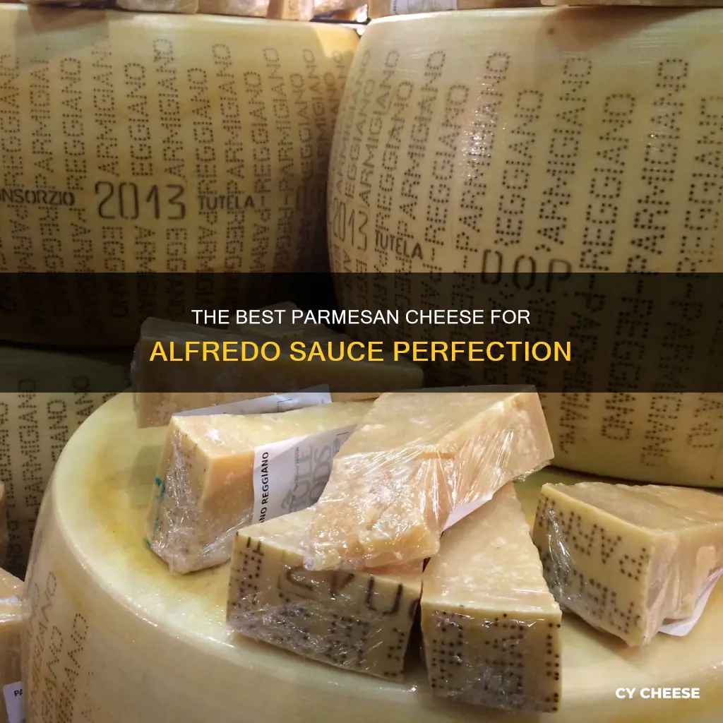 what is the best parmesan cheese for alfredo sauce