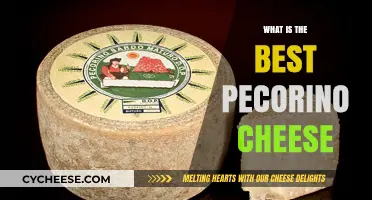 The Ultimate Pecorino Cheese: A Guide