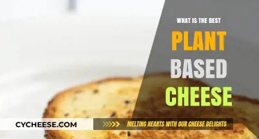 Vegan Cheese: The Ultimate Taste Test