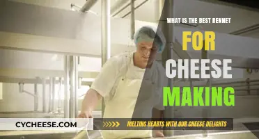 Rennet for Cheesemaking: Choosing the Perfect Coagulant