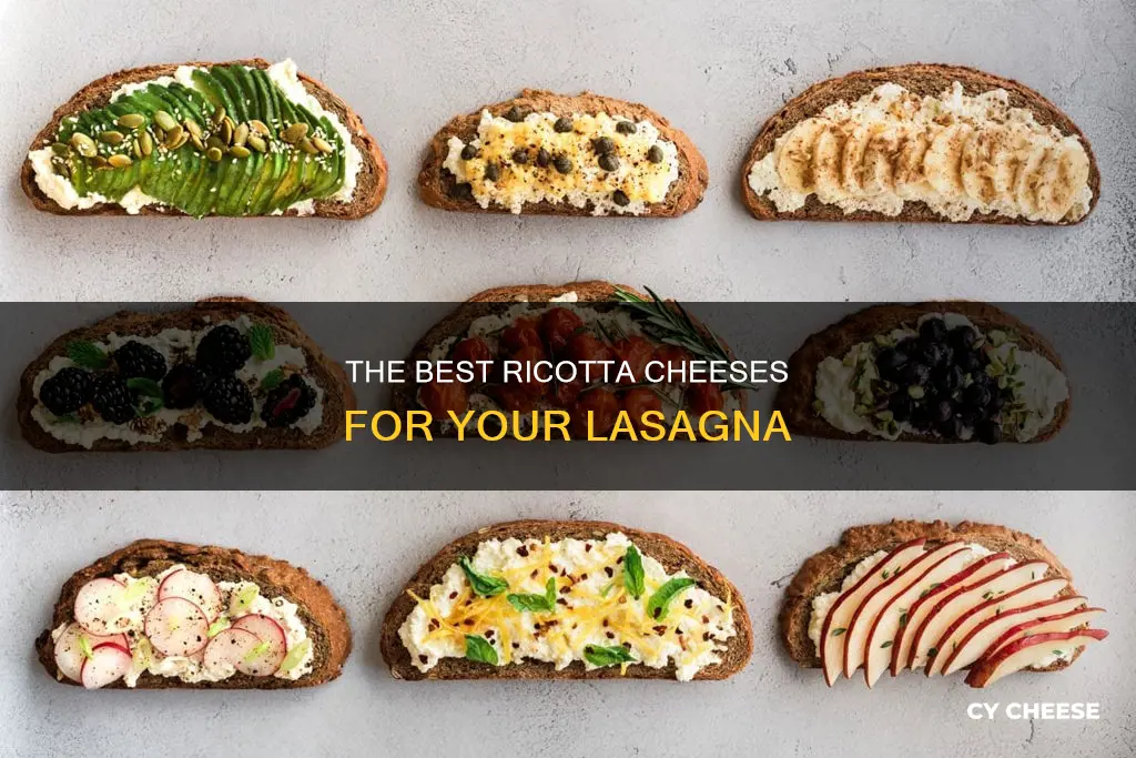 what is the best ricotta cheese for lasagna
