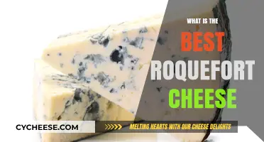 The Ultimate Roquefort Cheese Guide