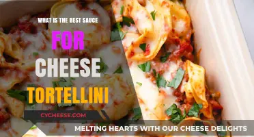 Cheese Tortellini: The Perfect Sauce Pairing