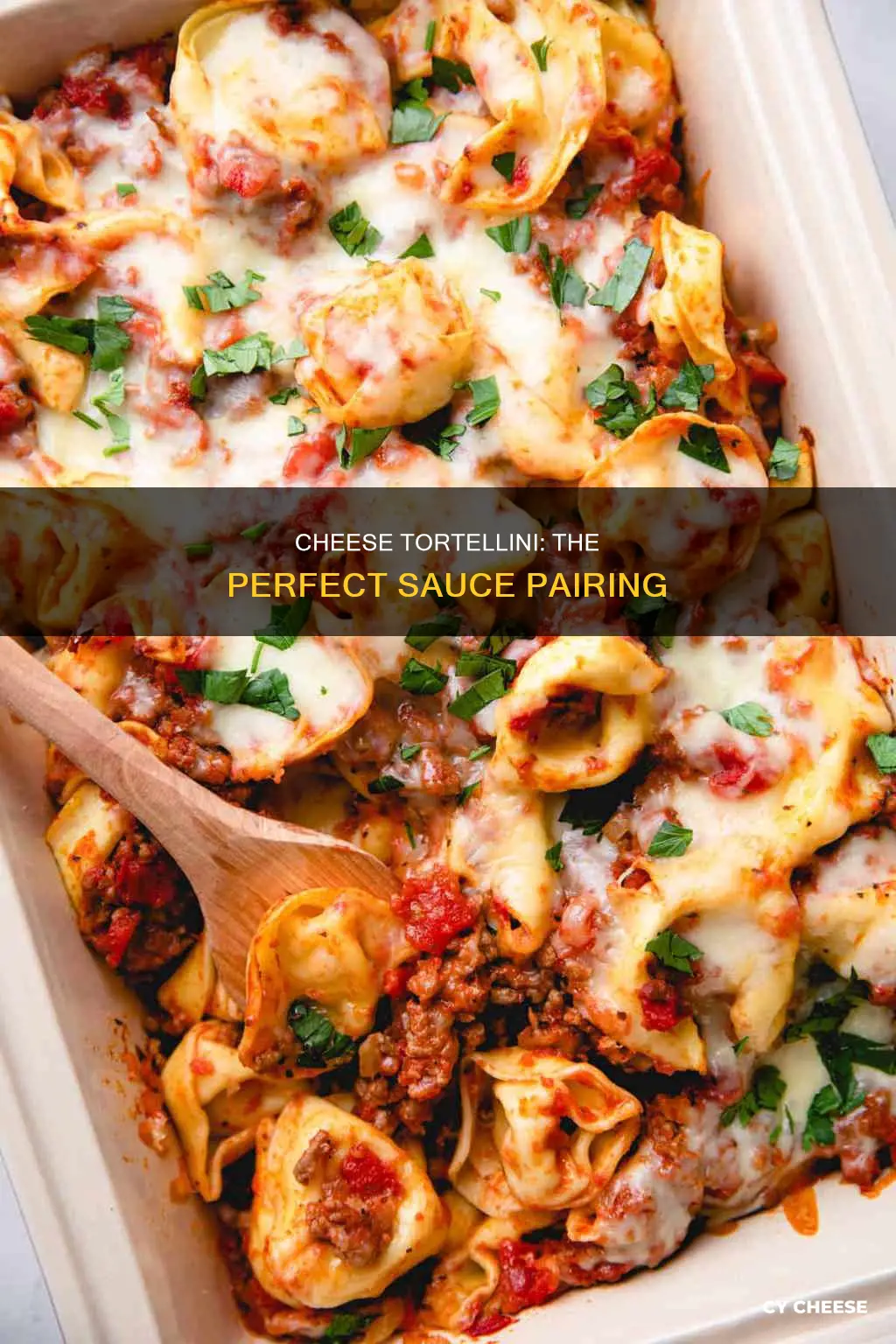 what is the best sauce for cheese tortellini