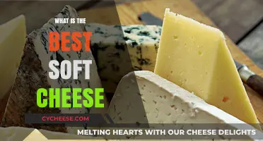 Soft Cheeses: The Creamy Delights