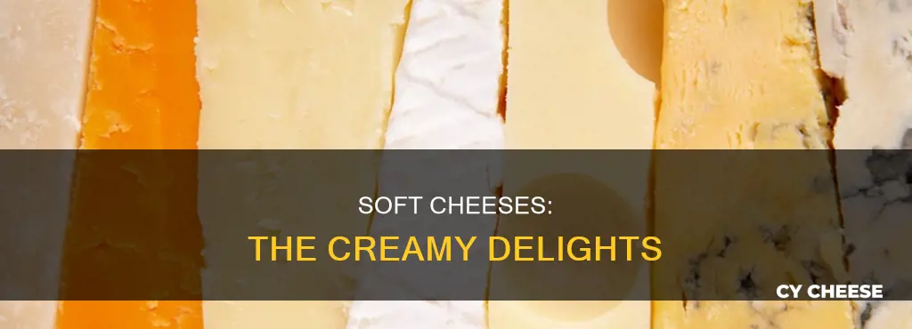 what is the best soft cheese