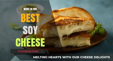 Soy Cheese: The Ultimate Guide to Finding the Best