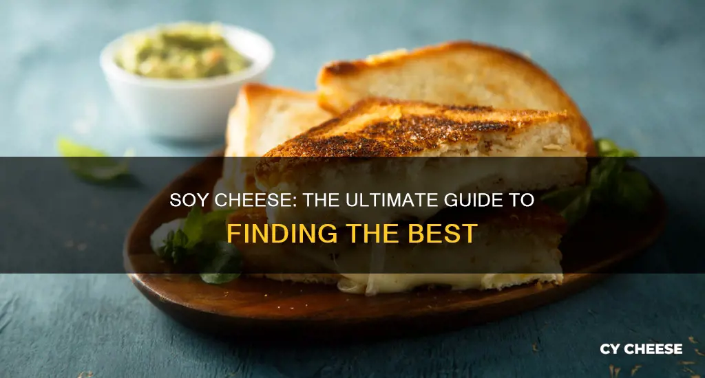 what is the best soy cheese