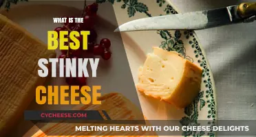 Stinky Cheese Delights: The Best of the Best