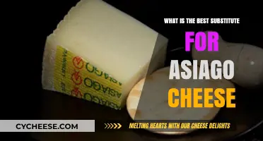 The Perfect Asiago Cheese Substitutes for Your Dish