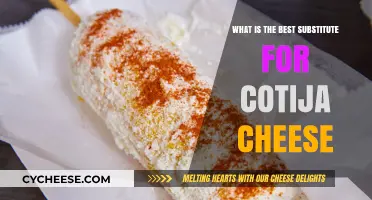 Top Cotija Cheese Alternatives for Your Next Dish