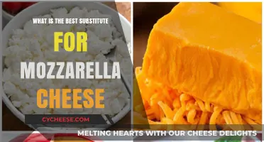 Mozzarella Alternatives: Cheesy Substitutes for Your Favorite Italian Dish