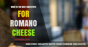 Romano Cheese Alternatives: Similar Cheeses for Your Pantry